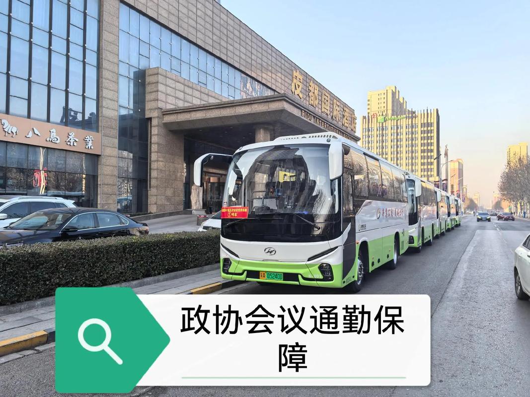 保障用车