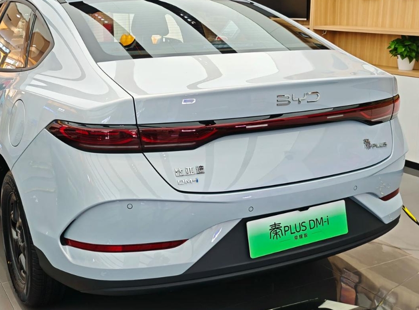 北京比亚迪租赁公司